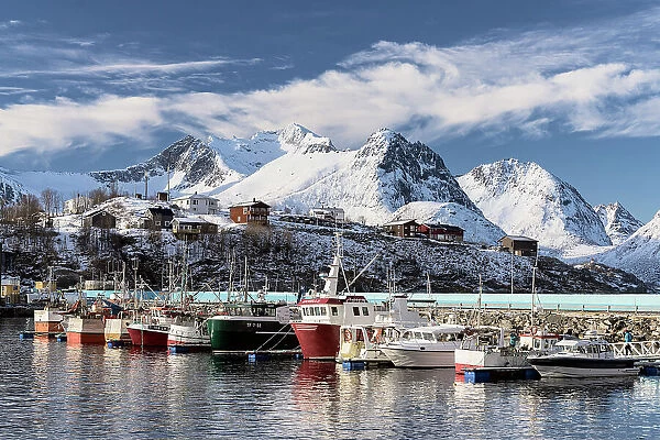 Fishing boats moored in the harbor surrounded by snowcapped mountains, Husoy, Senja, Troms county, Norway