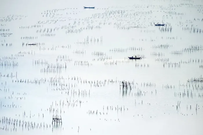 Framed Print : Fishing boats and oyster beds at Vanang An CAE, Phu Lanc District, Than'a Thin-Huau Province