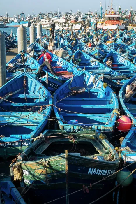 Framed Print : Fishing boats at port, Essaouira, Morocco Framed Print : Fishing boats at port, Essaouira, Morocco