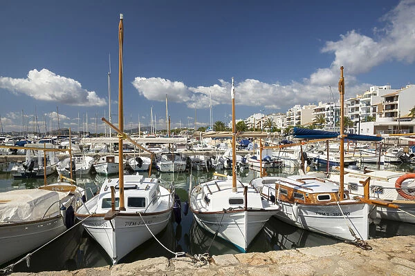 Fishing boats, Port de Pollenca, Serra de Tramuntana, Mallorca, Balearic Islands, Spain