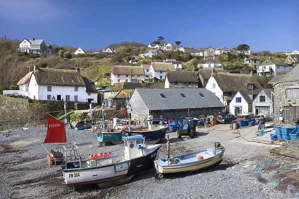 Fishing boats and thatched cottages in the Cornish fishing village of Cadgwith, Lizard, Cornwall, England. Spring (April) 2010