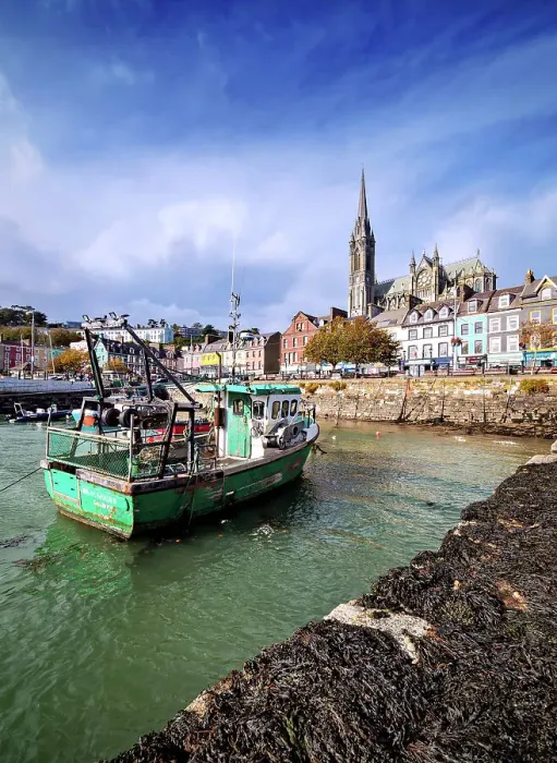 Framed Print : Fishing boats at the waterfront and St. Colman's Cathedral, Cobh, County Cork, Ireland