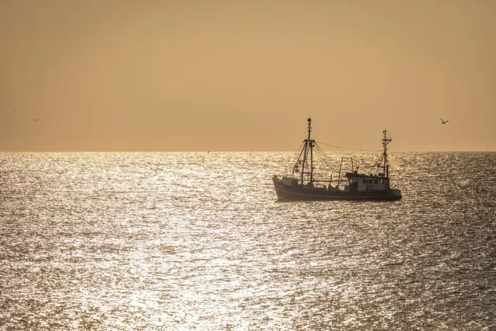 Framed Print : Fishing cutter on the west beach near Kampen in sunset, Sylt, Schleswig-Holstein, Germany Framed Print : Fishing cutter on the west beach near Kampen in sunset, Sylt, Schleswig-Holstein, Germany