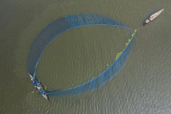 Fishing in the lake with big net, Sirajganj, Bangladesh