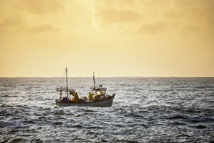Framed Print : Fishing trawler heading out to sea at sunrise, from Cadgwith, Lizard Peninsula, Cornwall, England Framed Print : Fishing trawler heading out to sea at sunrise, from Cadgwith, Lizard Peninsula, Cornwall, England