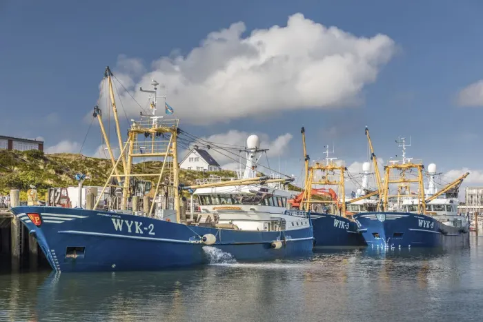 Framed Print : Fishing trawler in the port of Hoernum, Sylt, Schleswig-Holstein, Germany Framed Print : Fishing trawler in the port of Hoernum, Sylt, Schleswig-Holstein, Germany