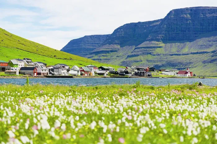 Framed Print : Fishing village of Hvannasund framed by wildflowers in bloom covering the green meadows, Bordoy island, Faroe Island