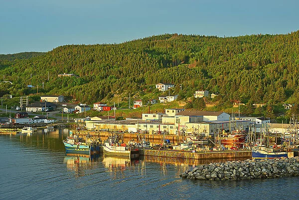Fishing village in La Scie Harbour off the Atlantic Ocean. Baie Verte Peninsula. La Scie, Newfoundland & Labrador, Canada