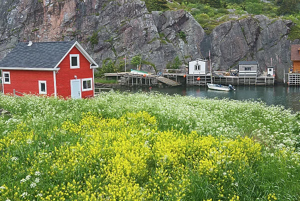 Fishing village, Quidi Vidi, Newfoundland & Labrador, Canada