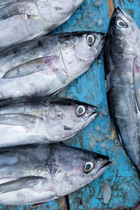 Framed Print : Fishmarket, Tarqui Beach, Manta, Manabi, Ecuador Framed Print : Fishmarket, Tarqui Beach, Manta, Manabi, Ecuador