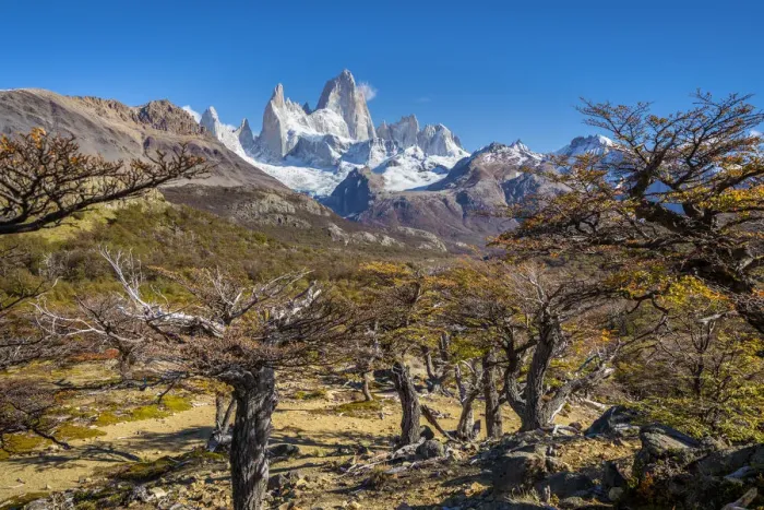 Framed Print : Fitz Roy mountain viewed from trail in autumn, Los Glaciares National Park, El Chalten Framed Print : Fitz Roy mountain viewed from trail in autumn, Los Glaciares National Park, El Chalten
