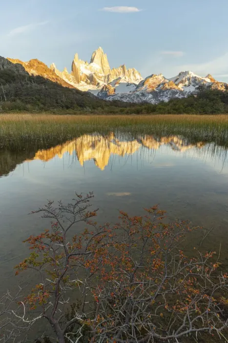 Framed Print : Fitz Roy reflection at dawn from Mirador Fitz Roy, with trees in the foreground Framed Print : Fitz Roy reflection at dawn from Mirador Fitz Roy, with trees in the foreground