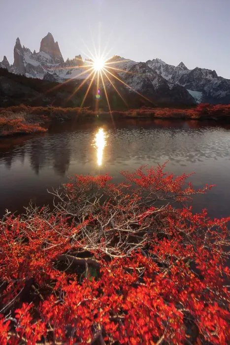 Framed Print : Fitzroy mountain near El Chalten reflecting in a pond in the Los Glacier National Park, Patagonia, Argentina Framed Print : Fitzroy mountain near El Chalten reflecting in a pond in the Los Glacier National Park, Patagonia, Argentina