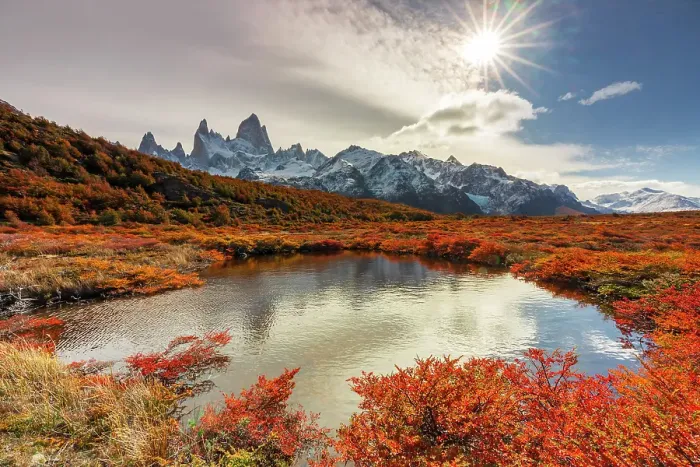 Framed Print : Fitzroy mountain near El Chalten reflecting in a pond in the Los Glacier National Park, Patagonia, Argentina Framed Print : Fitzroy mountain near El Chalten reflecting in a pond in the Los Glacier National Park, Patagonia, Argentina