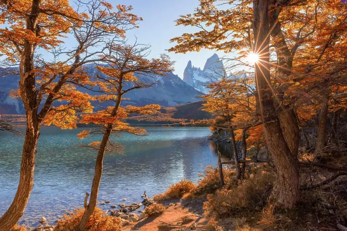 Framed Print : Fitzroy mountain at sunset reflectin in the Laguna Capri lake near El Chalten, Patagonia, Argentina Framed Print : Fitzroy mountain at sunset reflectin in the Laguna Capri lake near El Chalten, Patagonia, Argentina
