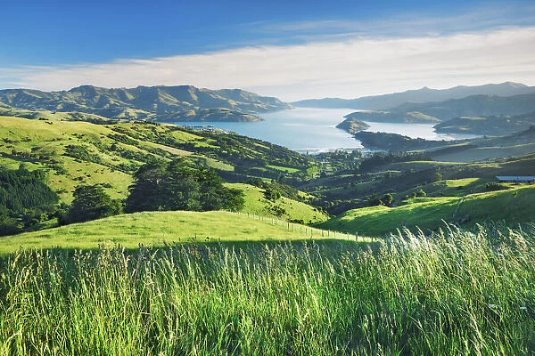 Fjord landscape Akaroa Harbour - New Zealand, South Island, Canterbury, Christchurch