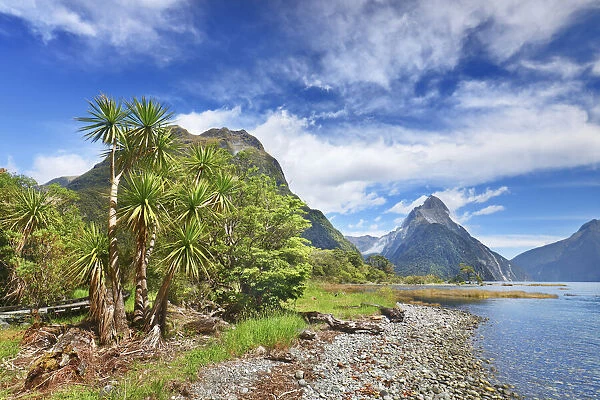 Fjord landscape at Mitre Peak - New Zealand, South Island, Southland