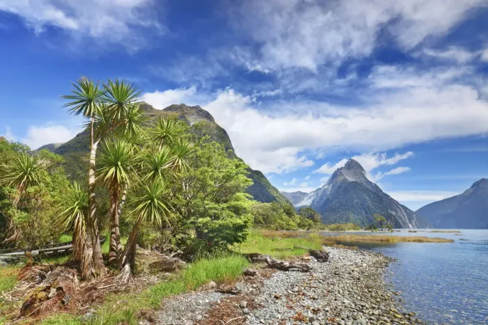 Framed Print : Fjord landscape at Mitre Peak - New Zealand, South Island, Southland Framed Print : Fjord landscape at Mitre Peak - New Zealand, South Island, Southland