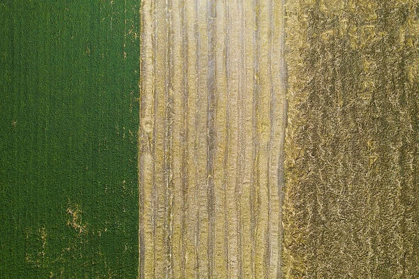 flag in the field, drone picture, Tuscan-emilian Apennine national park