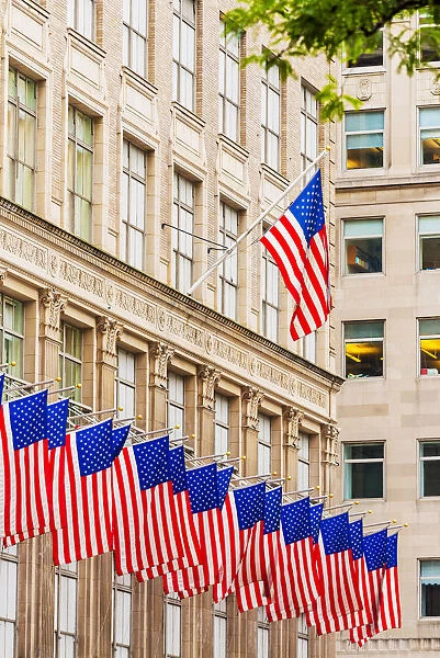 Flags on 5th Avenue, New York, USA