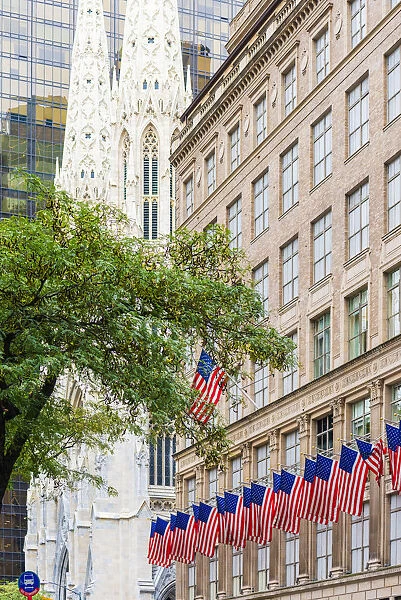 Flags outside St Patricks Cathedral on 5th Avenue, New York, USA