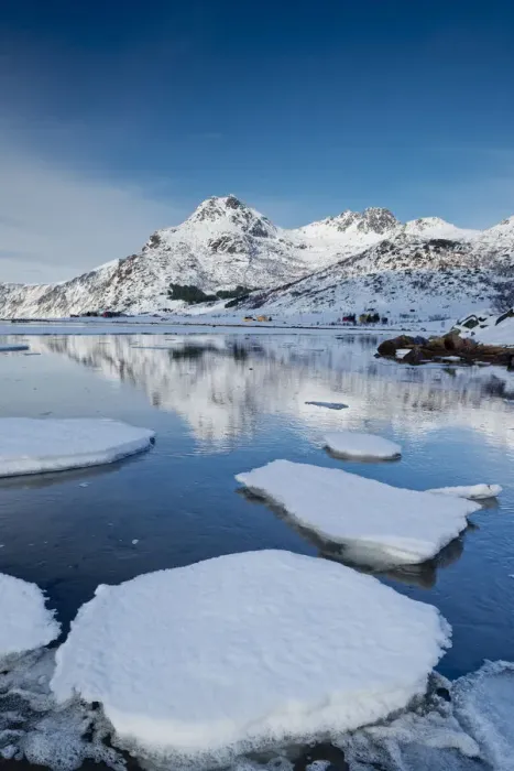 Framed Print : Flakstadpollen Reflections in Winter, Lofoten Islands, Norway Framed Print : Flakstadpollen Reflections in Winter, Lofoten Islands, Norway
