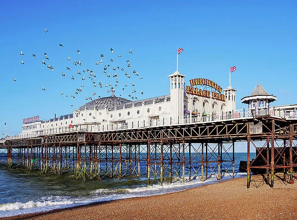 Flock of birds over the Brighton Palace Pier, City of Brighton and Hove, East Sussex, England, United Kingdom