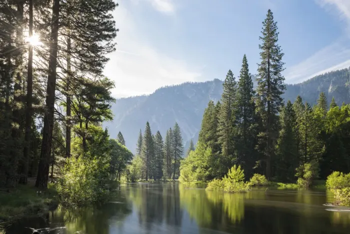 Framed Print : Flooded banks of the River Merced in Yosemite Valley, California, USA. Spring (June) 2016