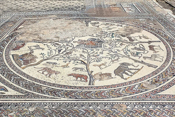 The floor mosaic inside the 'Orpheus House' of the ancient Roman ruins of Volubilis, near Meknes, Morocco