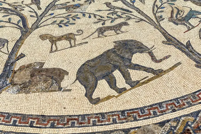Framed Print : Floor mosaic, Roman ruins, Volubilis, Morocco Framed Print : Floor mosaic, Roman ruins, Volubilis, Morocco