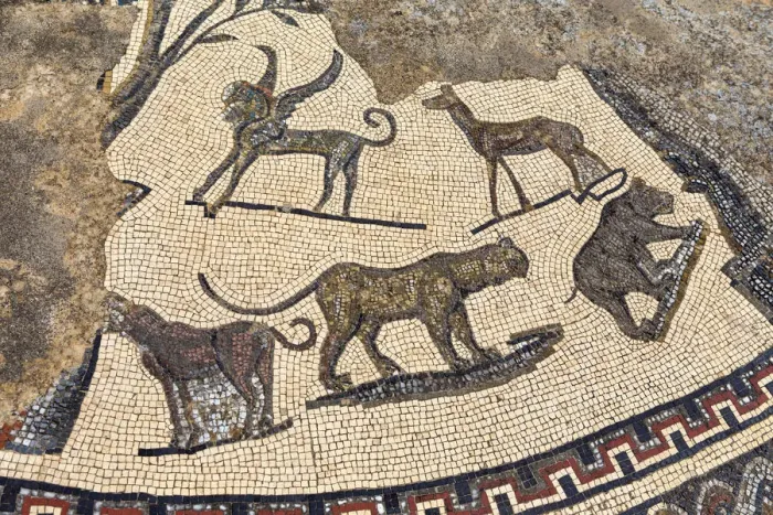 Framed Print : Floor mosaic, Roman ruins, Volubilis, Morocco Framed Print : Floor mosaic, Roman ruins, Volubilis, Morocco