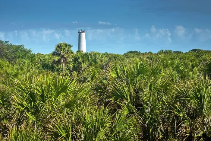 Framed Print : Florida, Egmont Key State Park, Lighthouse Built In 1858, Tampa Bay, Gulf Of Mexico, Saint Petersburg