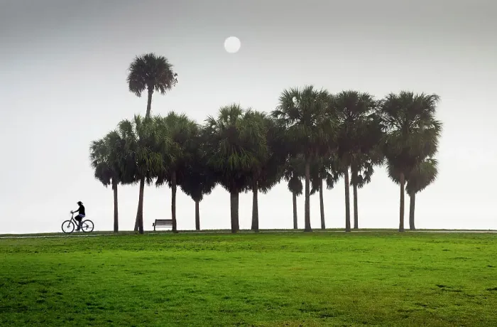 Framed Print : Florida, Saint Petersburg, Sunrise, Fog, Vinoy Park, Waterfront, Tampa Bay, Bicycling