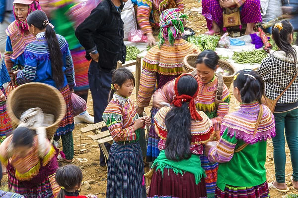 Flower Hmong tribes people at market, nr Bac Ha, nr Sapa, Vietnam