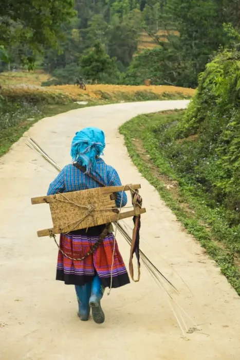 Framed Print : Flower Hmong woman walking along road, nr Bac Ha, nr Sapa, N. Vietnam Framed Print : Flower Hmong woman walking along road, nr Bac Ha, nr Sapa, N. Vietnam