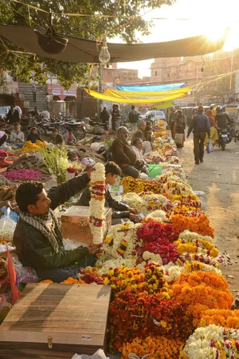 Framed Print : Flower market, Jaipur, Rajasthan, India Framed Print : Flower market, Jaipur, Rajasthan, India