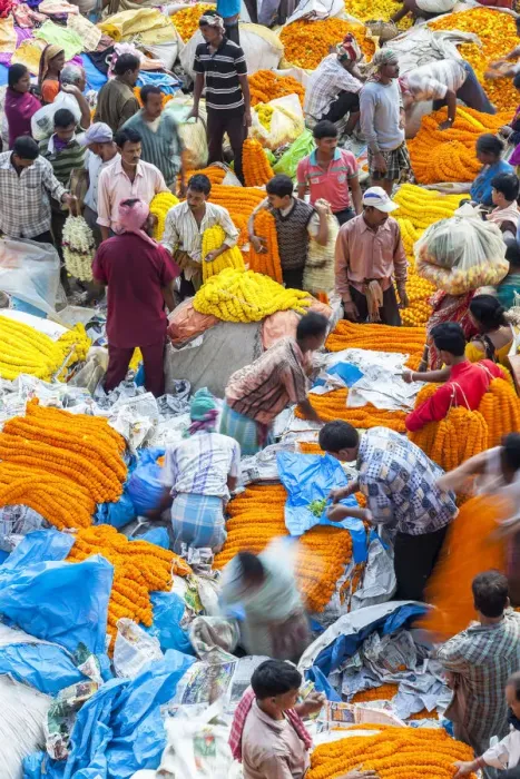 Framed Print : Flower market, Kolkata (Calcutta), India Framed Print : Flower market, Kolkata (Calcutta), India