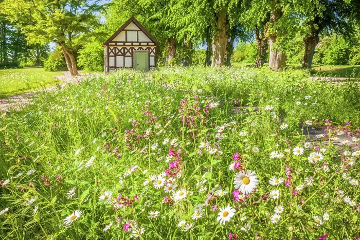 Framed Print : Flower meadow and garden pavilion in the park of Bothmer Castle in Klutz, Mecklenburg-West Pomerania, Baltic Sea, North Germany, Germany Framed Print : Flower meadow and garden pavilion in the park of Bothmer Castle in Klutz, Mecklenburg-West Pomerania, Baltic Sea, North Germany, Germany