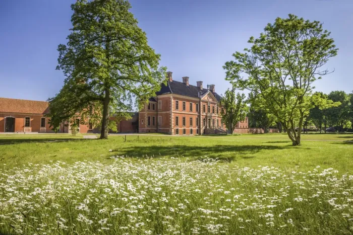 Framed Print : Flower meadow in the park of Bothmer Castle in Kluetz, Mecklenburg-Western Pomerania, Northern Germany, Germany