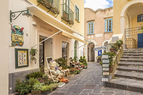Flower shop in the old town of Capri, Capri, Gulf of Naples, Campania, Italy