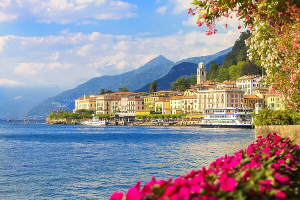 Flowering on the lake side of Bellagio, Province of Como, Como Lake, Lombardy, Italy