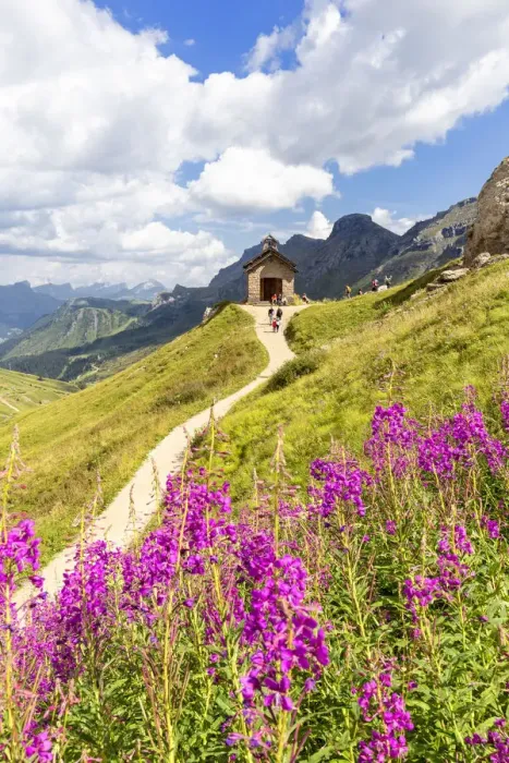 Framed Print : Flowering at Pordoi Pass Chapel. Pordoi Pass, Fassa Valley, Trentino, Dolomites, Italy Framed Print : Flowering at Pordoi Pass Chapel. Pordoi Pass, Fassa Valley, Trentino, Dolomites, Italy