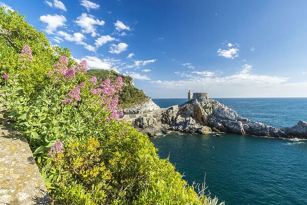 Flowers and blue sea frame the old castle and church on the promontory Portovenere