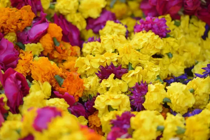 Framed Print : flowers in a market in Pushkar, India, Asia Framed Print : flowers in a market in Pushkar, India, Asia