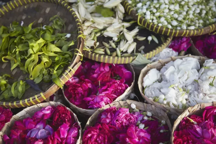 Framed Print : Flowers prepared for offerings, Yogyakarta, Java, Indonesia Framed Print : Flowers prepared for offerings, Yogyakarta, Java, Indonesia