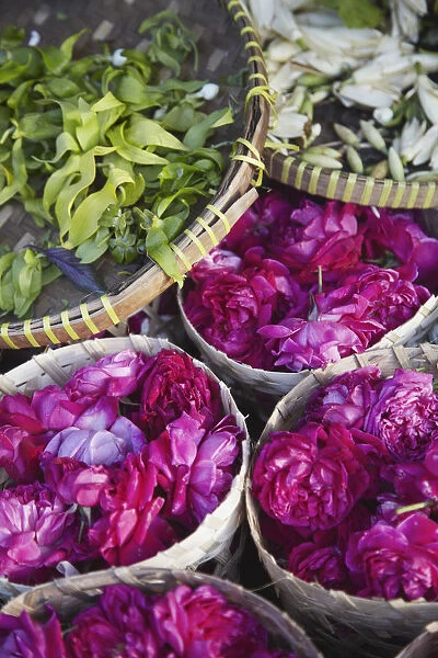 Flowers prepared for offerings, Yogyakarta, Java, Indonesia
