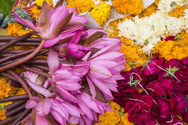 Flowers being sold near the Jagdish temple, Udaipur, Rajasthan, India