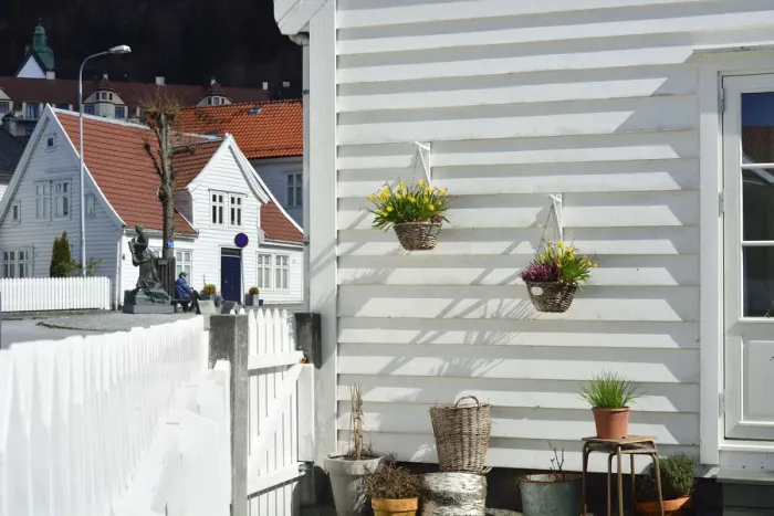 Framed Print : Flowers in a traditional fishermans house of Sandviken, Bergen. Norway Framed Print : Flowers in a traditional fishermans house of Sandviken, Bergen. Norway