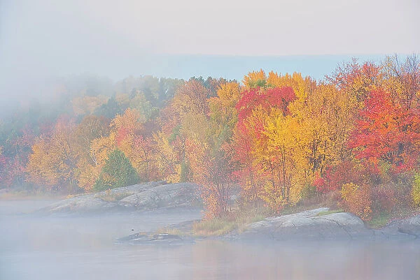 Fog in autumn along the Vermilion River at sunrise Capreol, Ontario, Canada