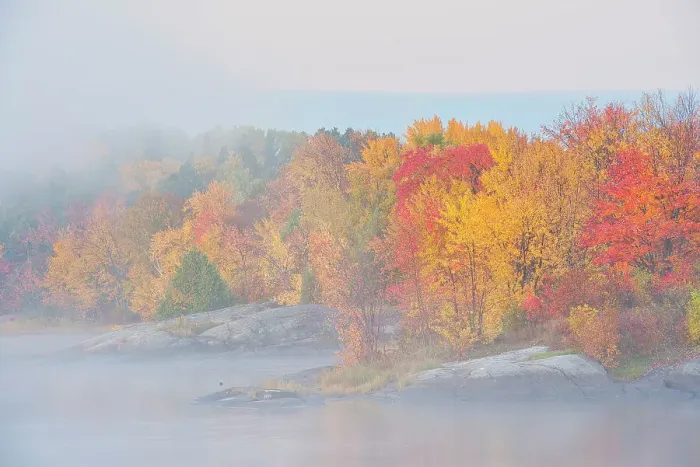 Framed Print : Fog in autumn along the Vermilion River at sunrise Capreol, Ontario, Canada Framed Print : Fog in autumn along the Vermilion River at sunrise Capreol, Ontario, Canada
